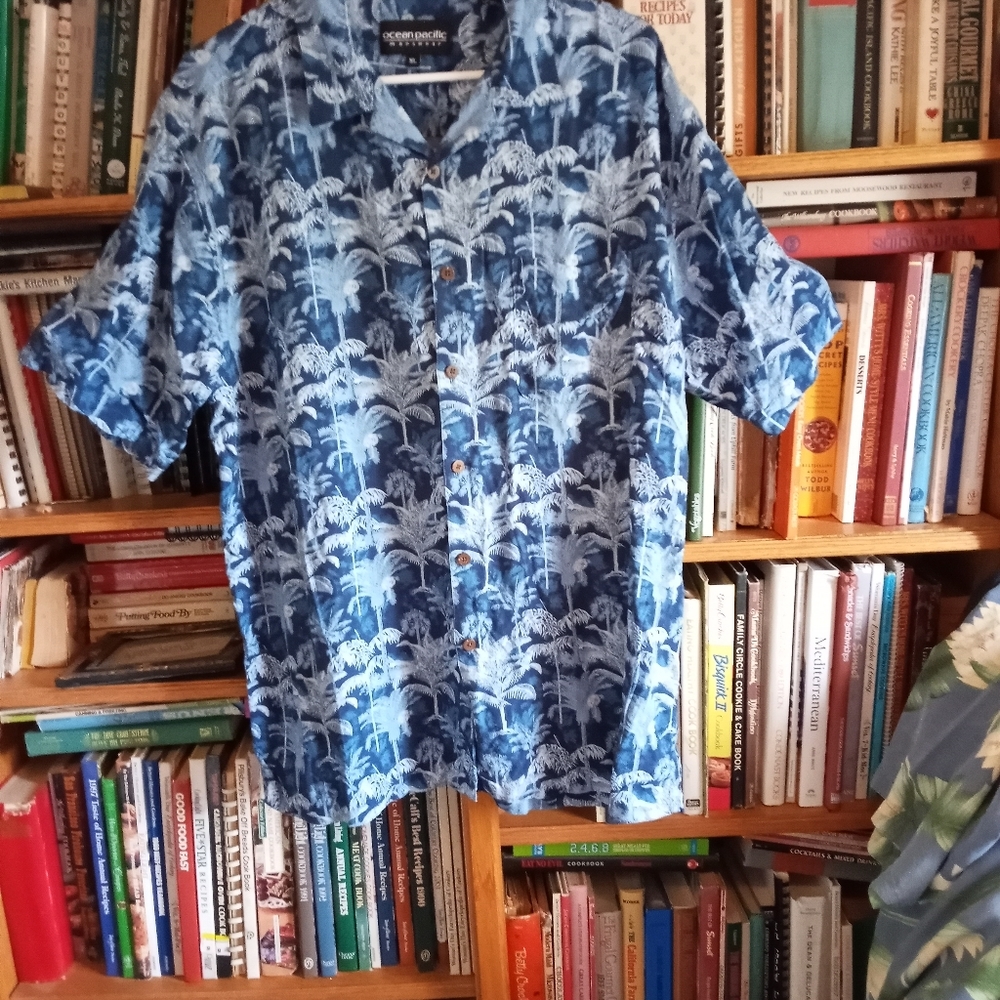 NATURAL ISSUE MANS SHIRT